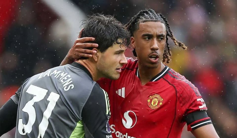 在阿莫林的, 脱颖而出令, img